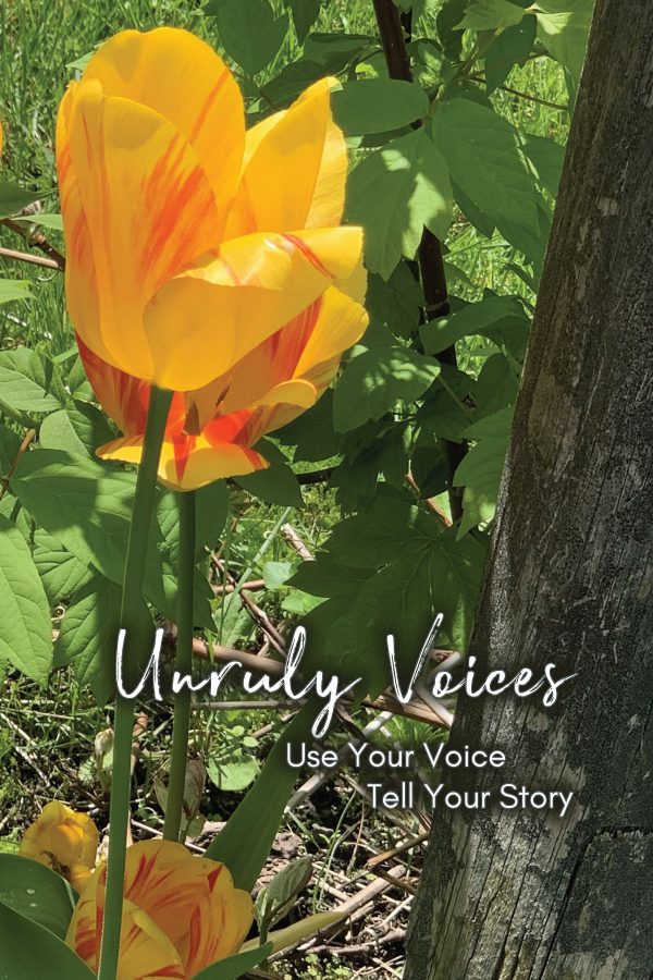 Two Yellow Tulips (front cover)