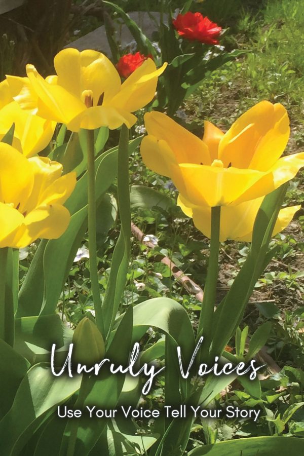 Yellow Tulip Garden (front cover)